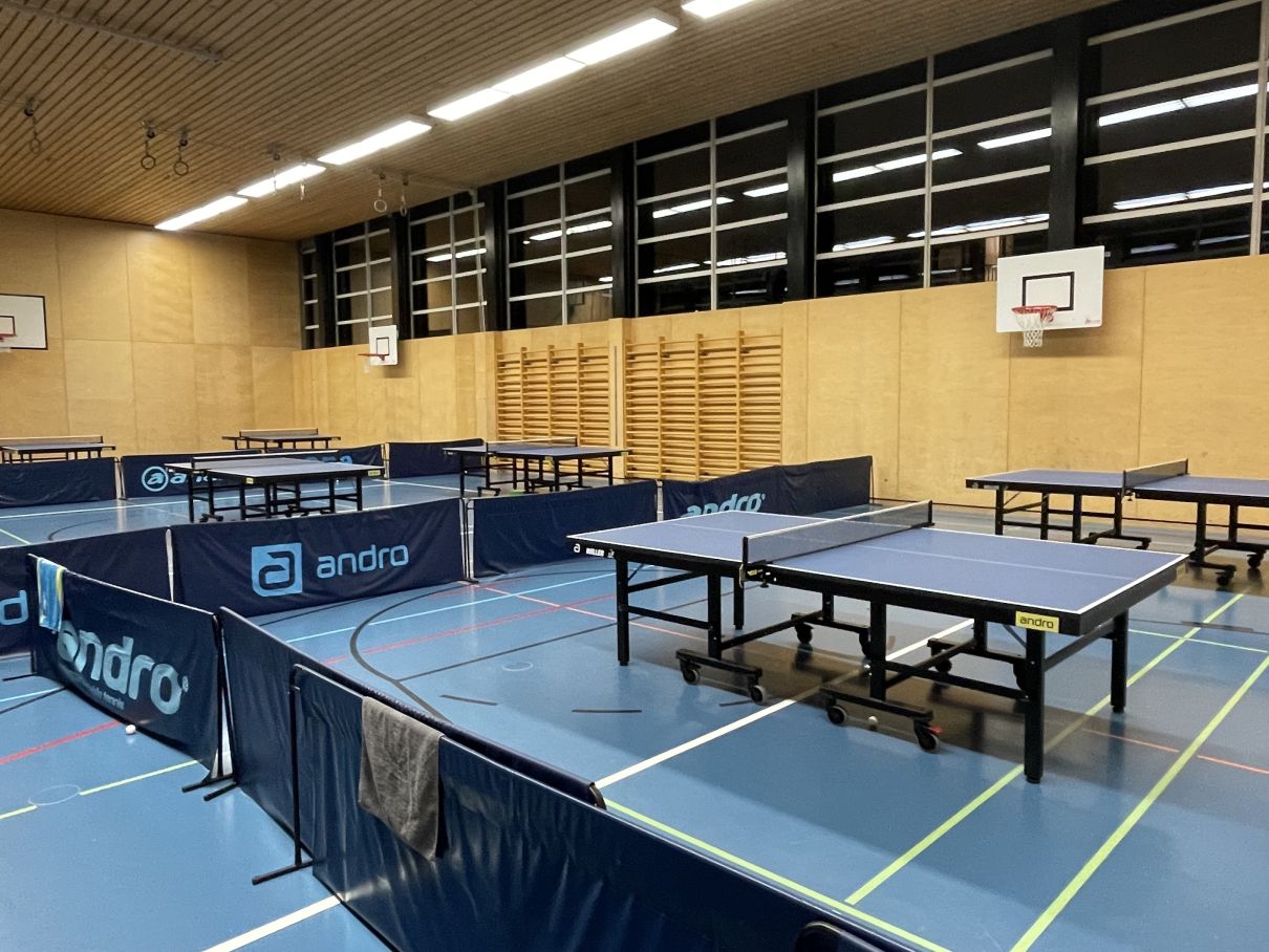 Trainingslehrgang beim TTC Rapid Luzern